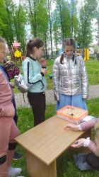 IMG_20210530_122703